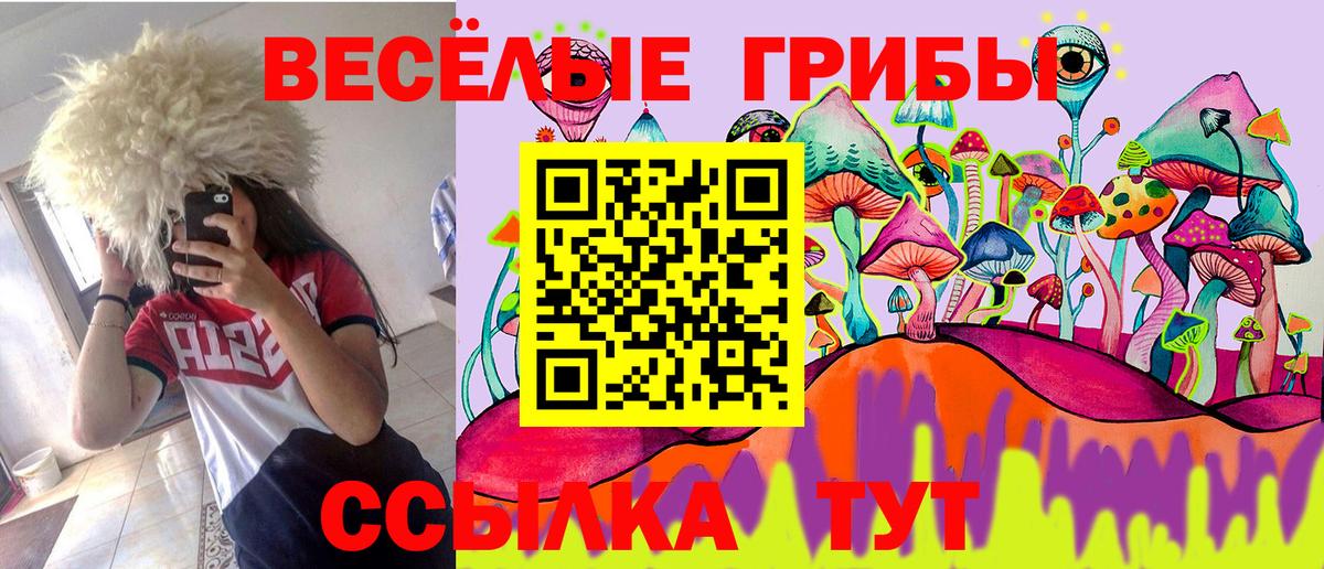 Галлюциногенные грибы Psilocybine cubensis Берёзовский